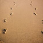 felipe-correia-ScQngs6oO1E-unsplash